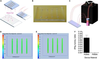 Effects of Shear Stress on Production of FVIII and vWF in a Cell-Based Therapeutic for Hemophilia A